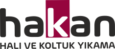 Bursa Koltuk Yıkama | Koltuk Yıkama 90 TL